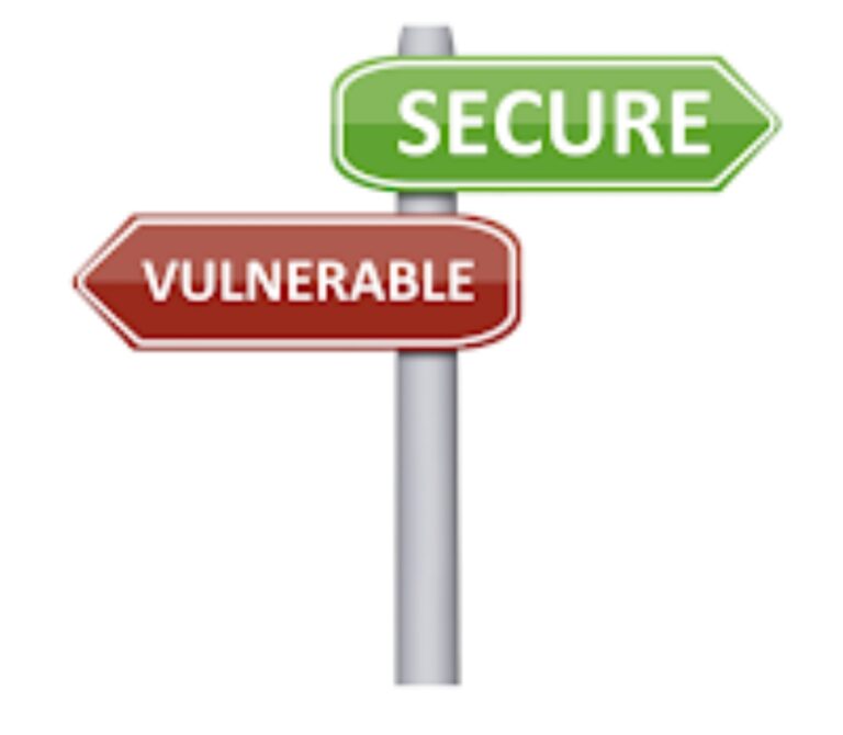 La Vulnerabilidad